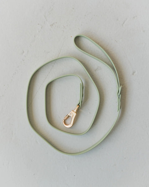 Dexypaws - Waterproof Dog Leash 6 ft (Sage Green)