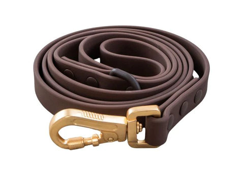 Dexypaws - Waterproof Dog Leash 5 ft (Espresso)