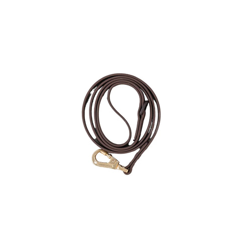 Dexypaws - Waterproof Dog Leash 5 ft (Espresso)