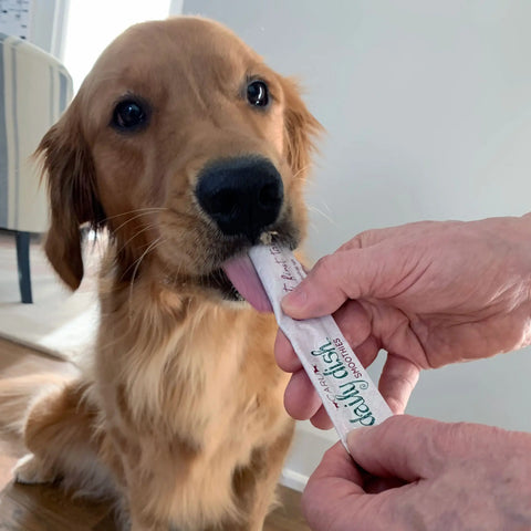 Caru - Daily Dish Smoothies Peanut Butter Recipe for Dogs