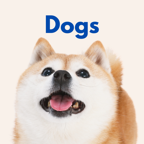 All Products for Dogs