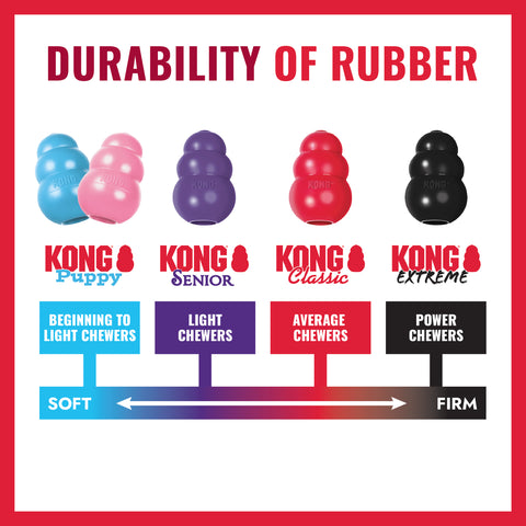 KONG - Flyer (Small/Large)