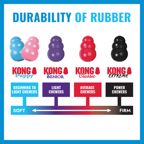 KONG - Puppy Flyer