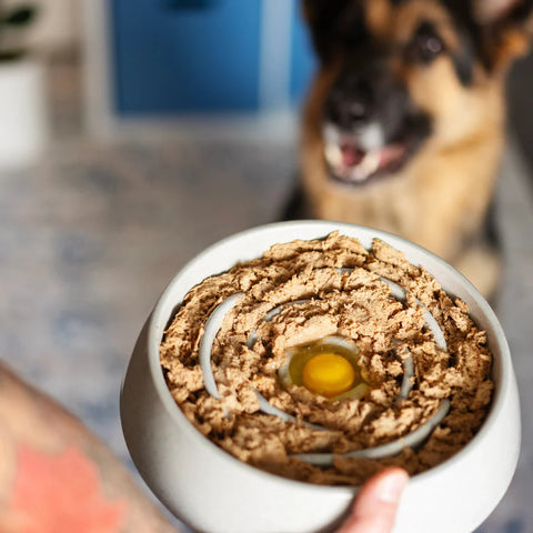 Messy Mutts - Interactive Dog Slow Feeder, 3 Cup Capacity-Extra Durable