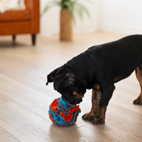 Messy Mutts - Forage/Snuffle Ball 6 inch