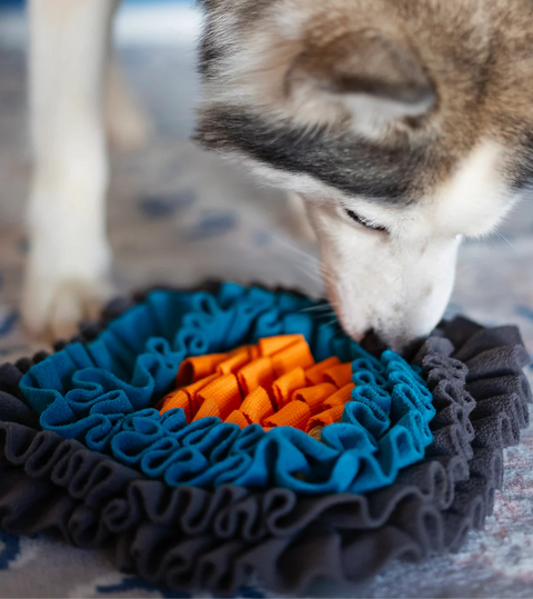 Messy Mutts - Square Forage/Snuffle Mat, 11"x 11"