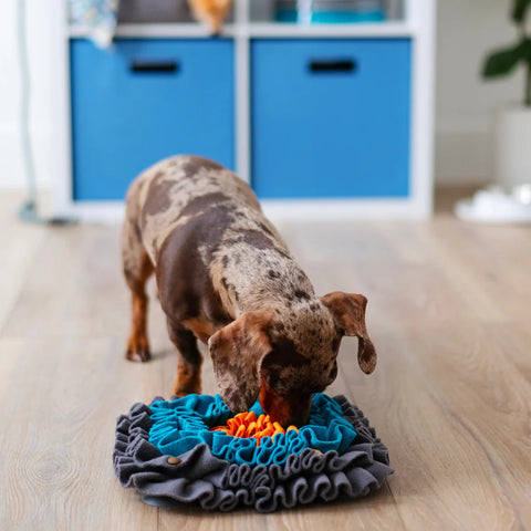 Messy Mutts - Square Forage/Snuffle Mat, 11"x 11"