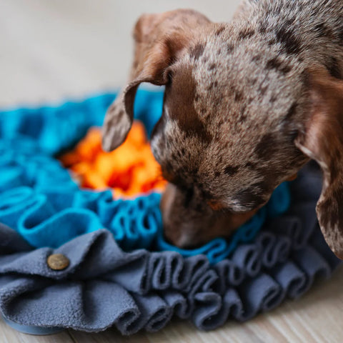 Messy Mutts - Square Forage/Snuffle Mat, 11"x 11"