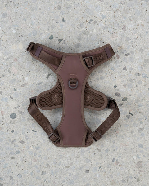 Dexypaws - No-Pull Dog Harness (Espresso)