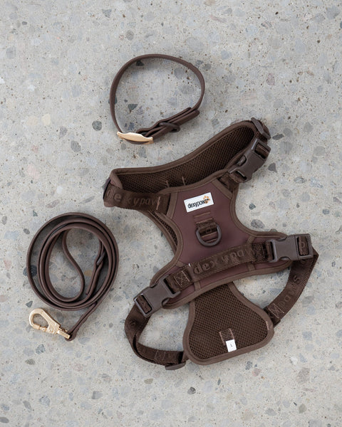 Dexypaws - No-Pull Dog Harness (Espresso)