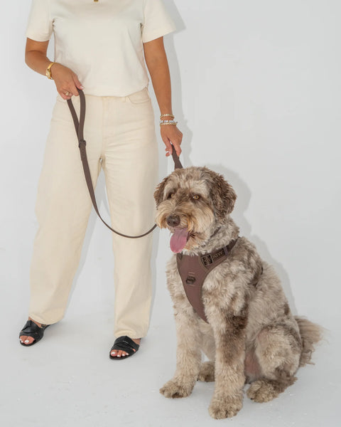 Dexypaws - No-Pull Dog Harness (Espresso)