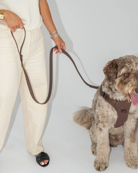 Dexypaws - Waterproof Dog Leash 5 ft (Espresso)