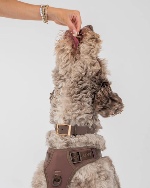 Dexypaws - No-Pull Dog Harness (Espresso)