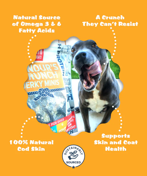 Plato Pet Treats - Hundur's Crunch Jerky Minis 100g