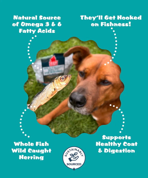 Plato Pet Treats - Baltic Herring 85g