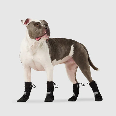 Canada Pooch® Soft Shield Boot
