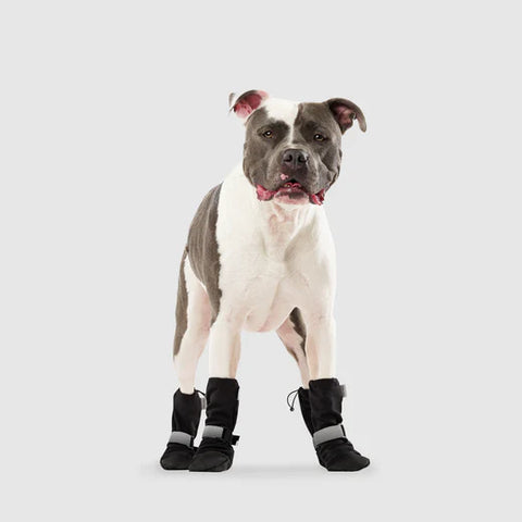 Canada Pooch® Soft Shield Boot