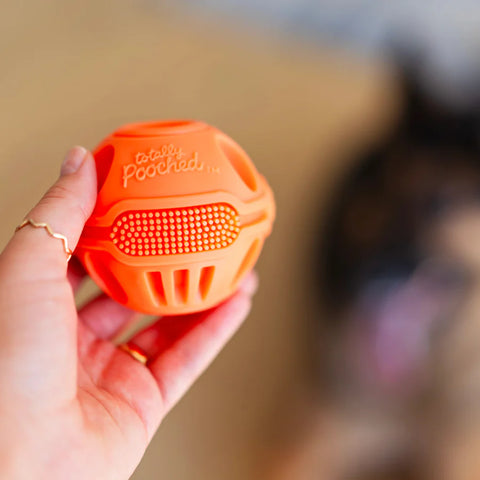 Messy Mutts - Totally Pooched Stuff'n Brush Ball, 3"