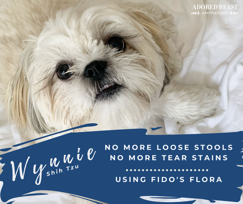 Adored Beast - Fido's Flora ( Probiotic for Allergies)