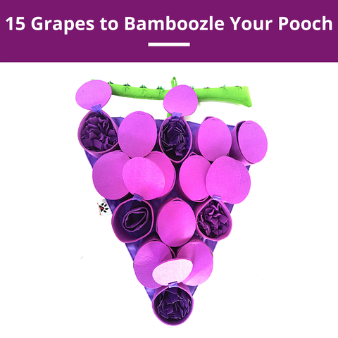 Forbidden Grapes ™ Snuffle Mat | Level 4 | Puzzle Mats