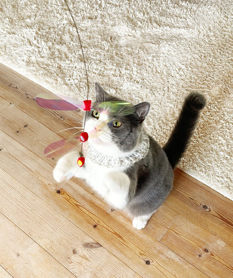 Crinkly Critters Dancing Dragonfly Trio Cat Wand