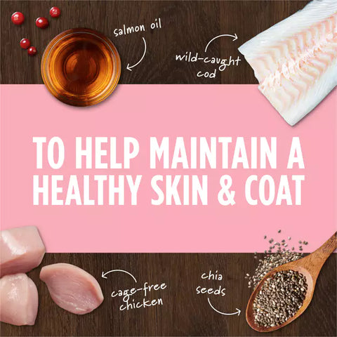 Instinct - Raw Boost Mixers GF FD Dog Food Topper Skin&Coat Health Recipe