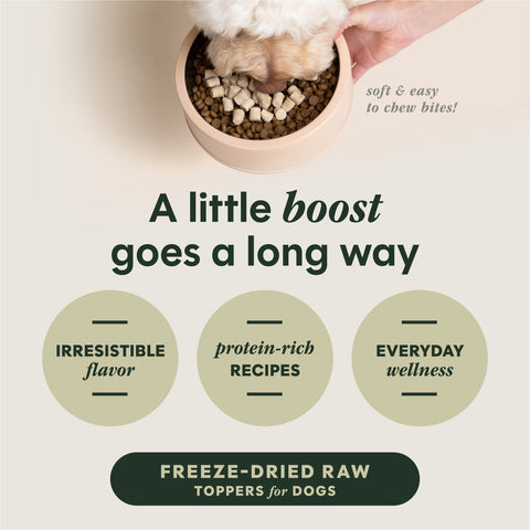Instinct® Raw Boost Mixers Freeze-Dried All Life Stages Dog Food Topper - Raw, Grain Free, Beef