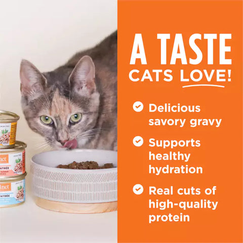 Instinct - Flaked Canned Cat Food Chicken Entrée 85g