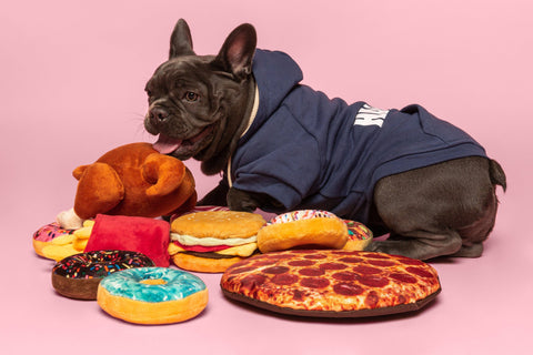 Fabdog - Rotisserie Chicken