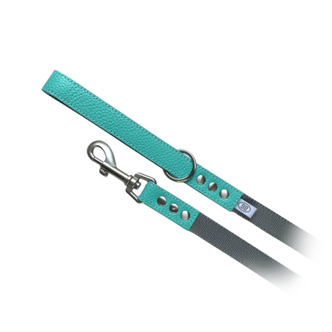 Buddy Belts -Nylon Accent Leashes Tiffurny 3/4” x 4’ Leash