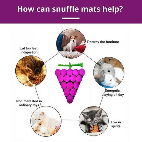 Forbidden Grapes ™ Snuffle Mat | Level 4 | Puzzle Mats