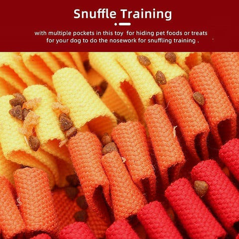 Fire & Ice™ Anti-Bite (Fire) Snuffle Mat | Level 2 For Dogs