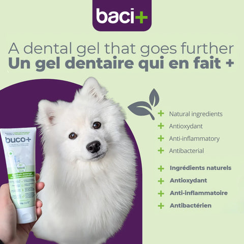 Baci - Dental gel buco+ | Enzymatic care ( cats and dogs)