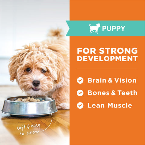 Instinct - Raw Freeze-Dried Meals Cage-Free Chicken Recipe for Puppies 85g/396g