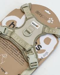 Dexypaws - No-Pull Dog Harness (Sage Green)