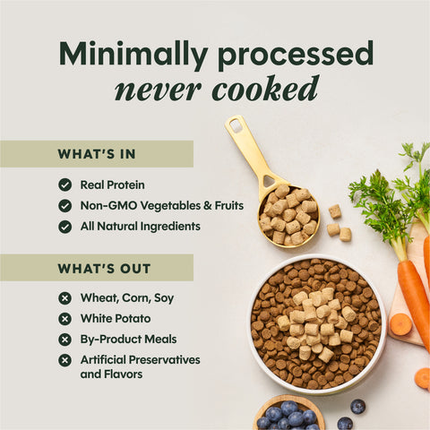 Instinct® Raw Boost Mixers Freeze-Dried All Life Stages Dog Food Topper - Raw, Grain Free, Beef