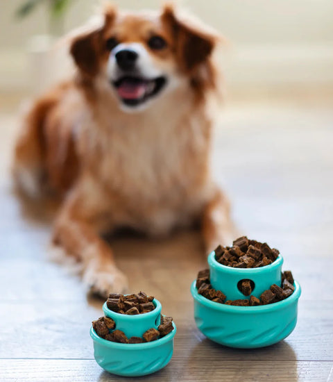 Messy Mutts - Totally Pooched by Messy Mutts Puzzle'n Play Mushroom Dog Toy