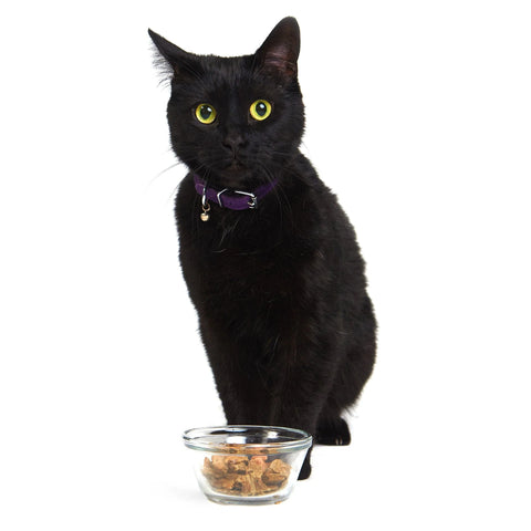 Smack - Pacific Fish Feast For Cats