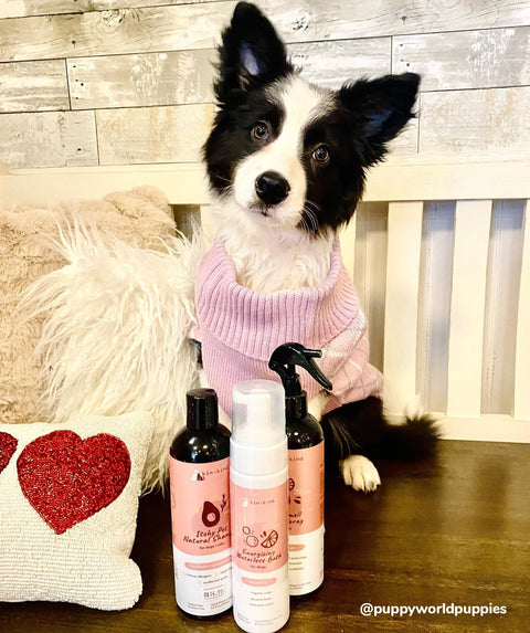 Kin + Kind - Itchy Pet Shampoo (Rosemary) 12oz