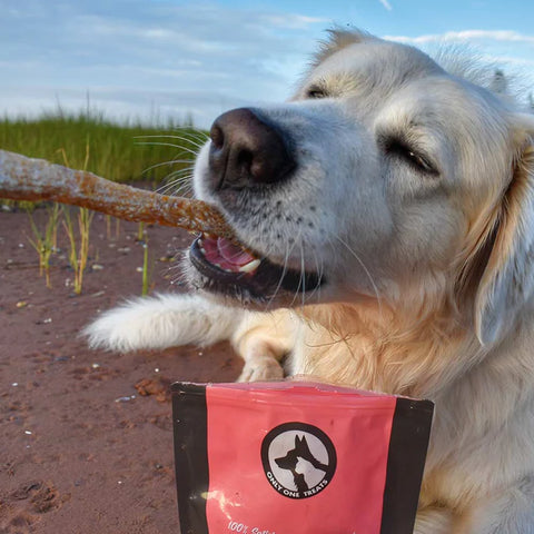 Only One Treats - Wild Pacific Salmon Skin Strips 85g