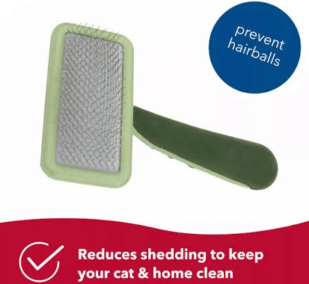 Safari - Soft Slicker Brush Cat
