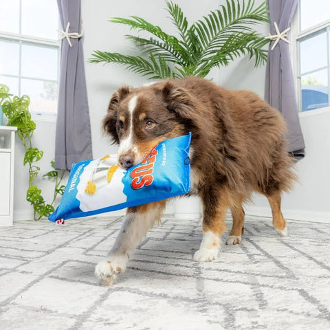 Spot® Fun Food - Ruffus Chips Dog Toy