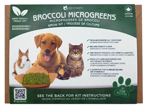 UgroGreens - Wheat Grass / Broccoli Microgreens Grow Kit