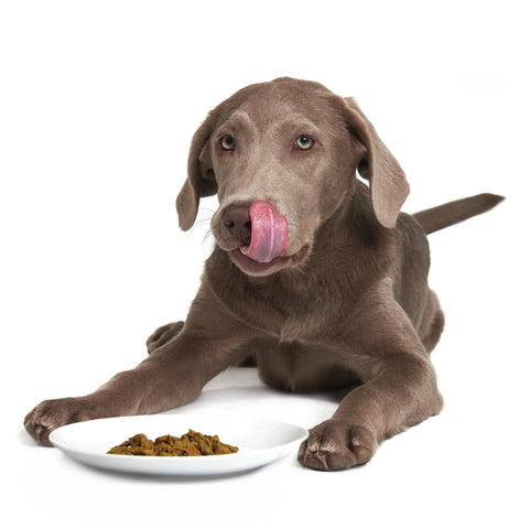 Smack - Very Berry Chicken for Dog